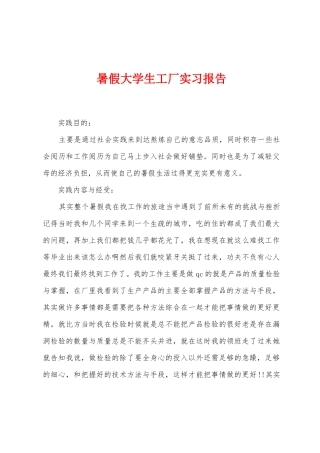 暑假大学生工厂实习报告