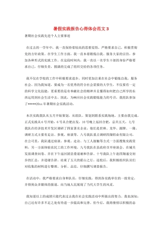 暑假实践报告心得体会范文3