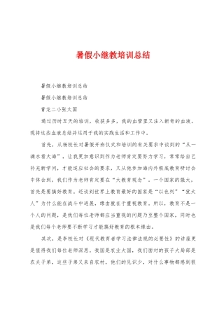 暑假小继教培训总结