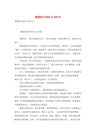 暑假的计划作文300字