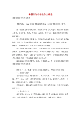 暑假计划小学生作文精选