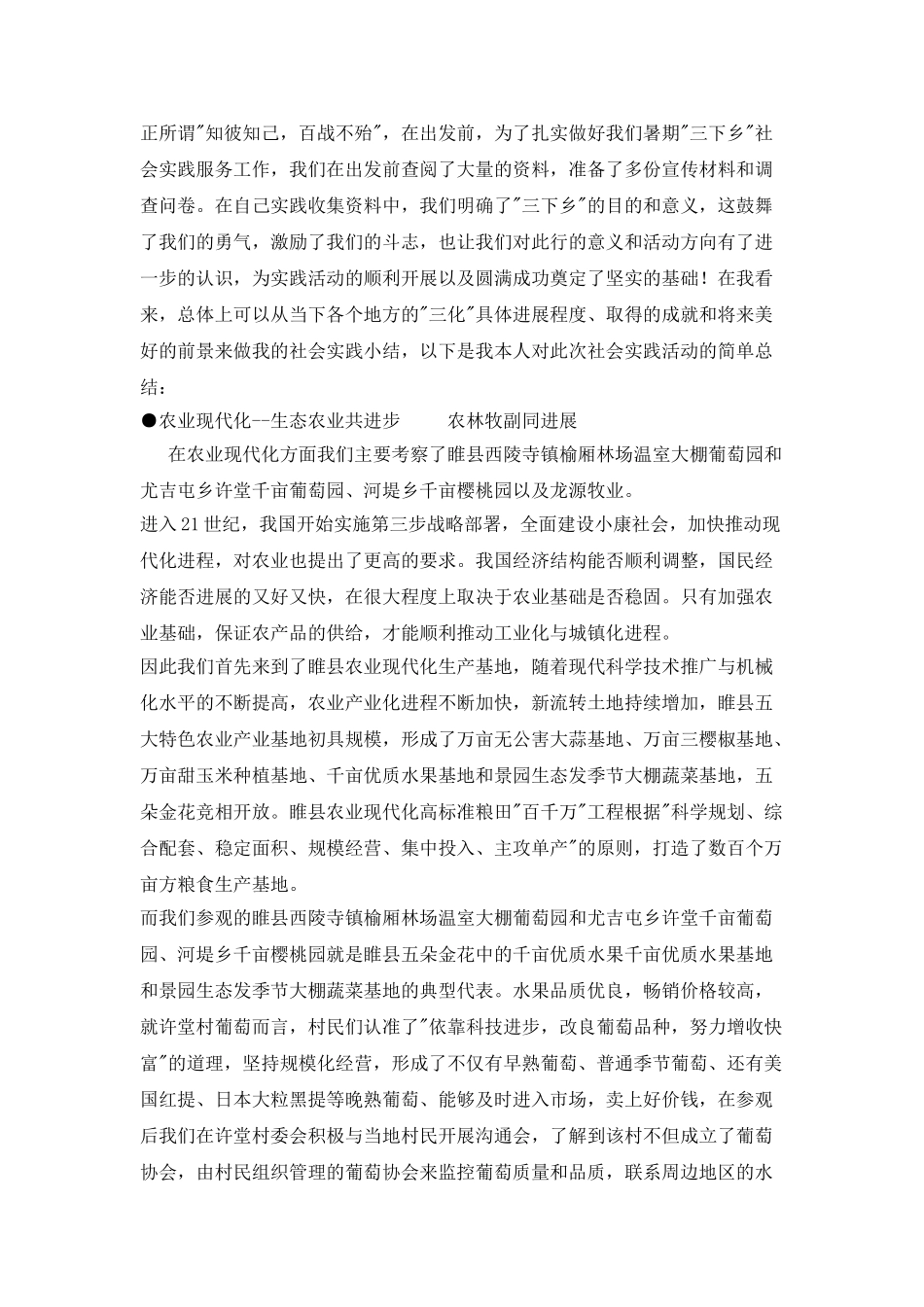 暑期“三下乡’社会实践总结_第2页