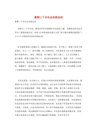 暑期三下乡社会实践总结