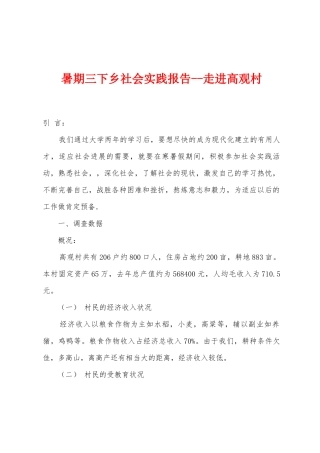 暑期三下乡社会实践报告走进高观村1