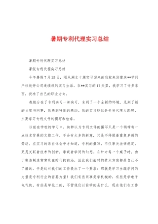 暑期专利代理实习总结