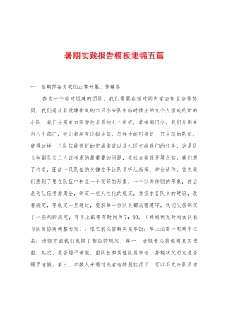 暑期实践报告模板五篇