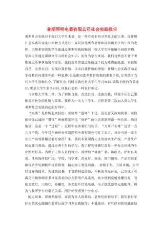 暑期照明电器有限公司社会实践报告