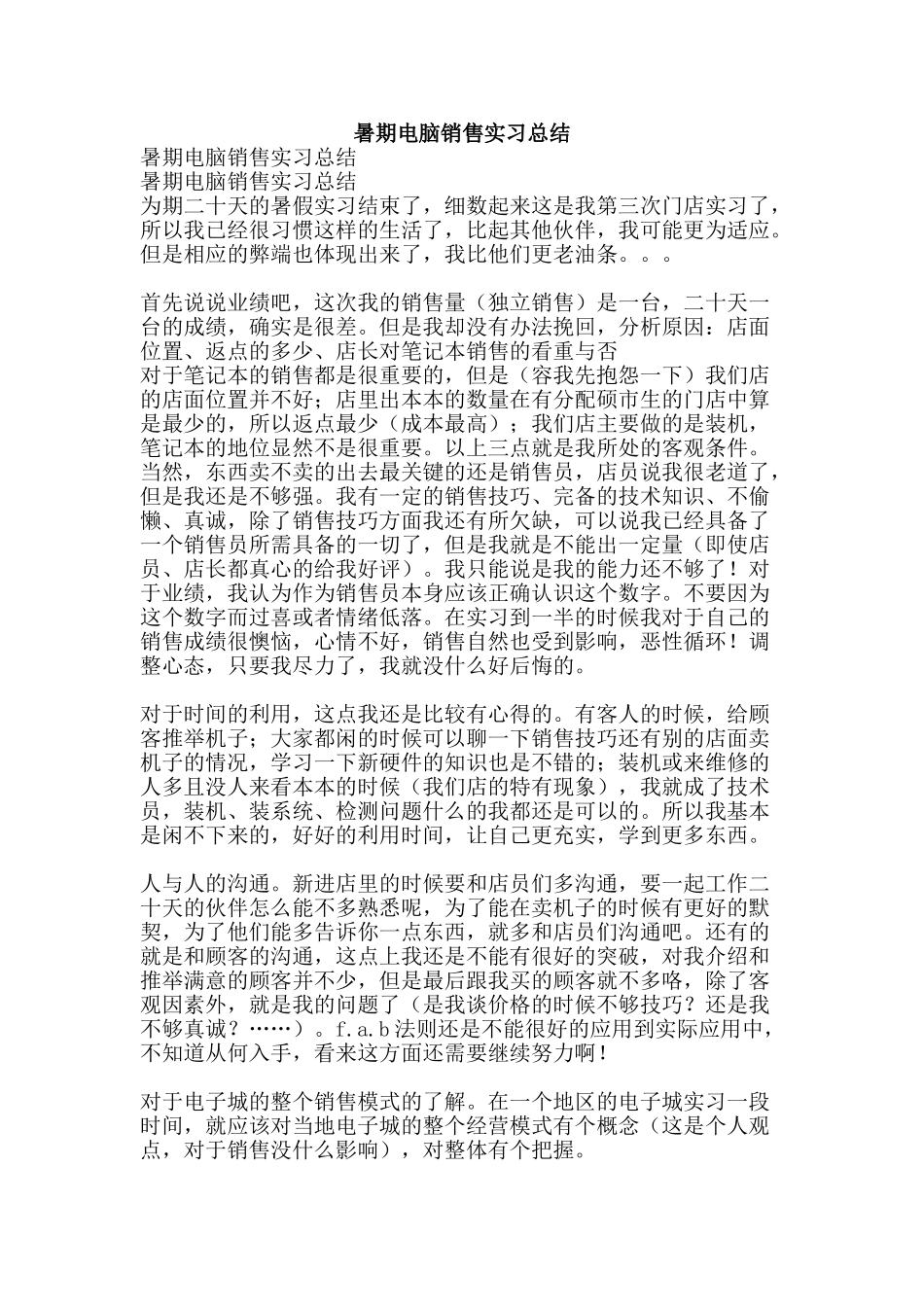 暑期电脑销售实习总结-精品范文资料_第1页