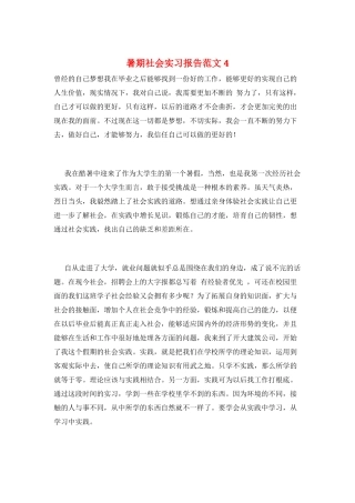 暑期社会实习报告范文4