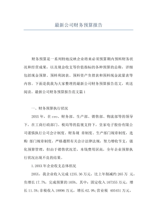 最新公司财务预算报告
