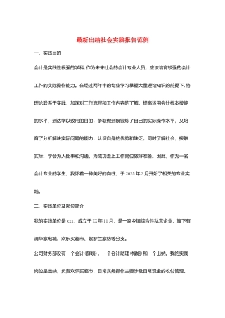 最新出纳社会实践报告范例