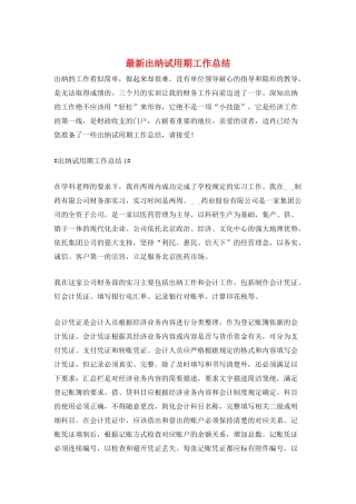 最新出纳试用期工作总结