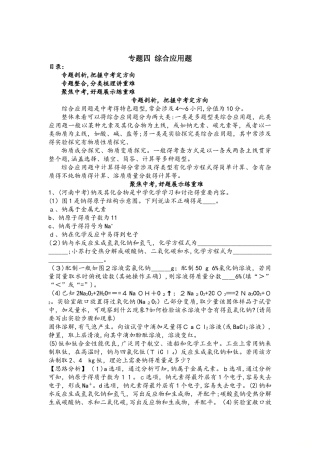 最新化学题型专题攻略：专题四：　综合应用题