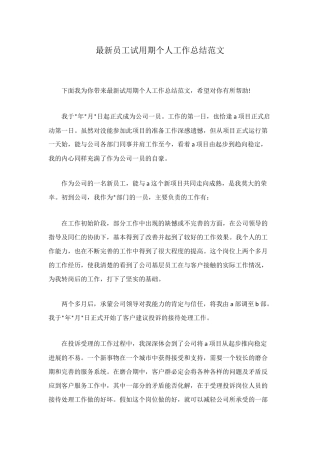 最新员工试用期个人工作总结范文