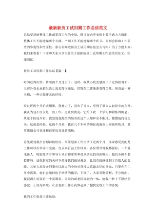 最新新员工试用期工作总结范文