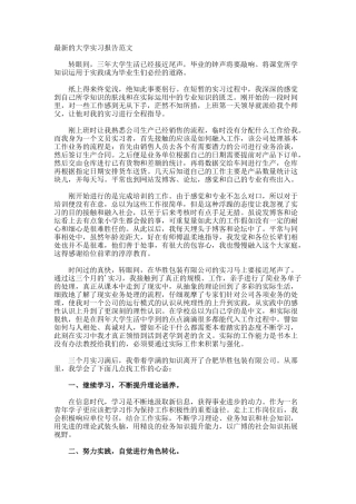 最新的大学实习报告