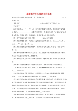 最新银行外汇借款合同范本