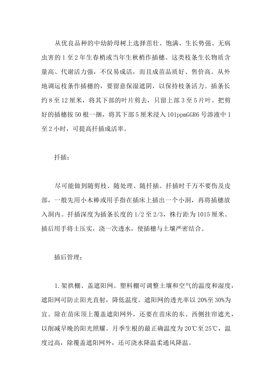 月季扦插的方法详细介绍_第2页