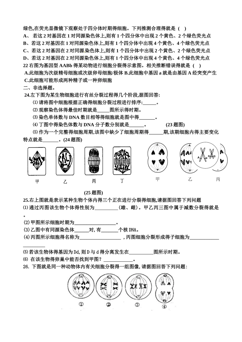 有丝分裂和减数分裂专题练习含答案_第3页