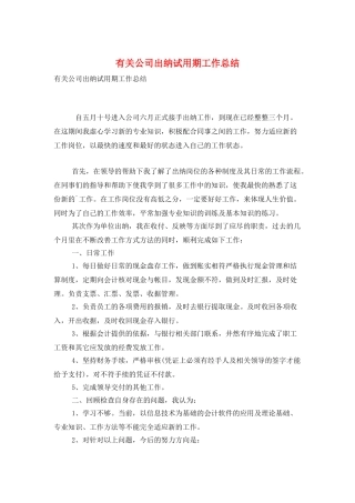 有关公司出纳试用期工作总结