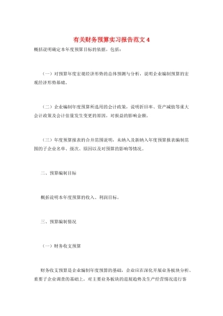 有关财务预算实习报告范文4