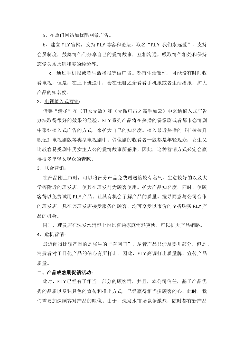 有关飞扬的营销方案_第3页