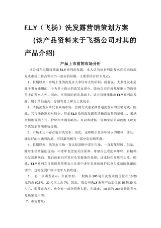 有关飞扬的营销方案