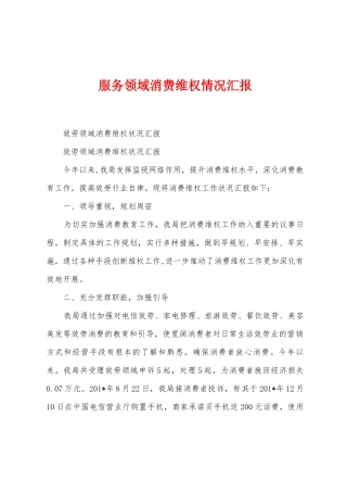 服务领域消费维权情况汇报