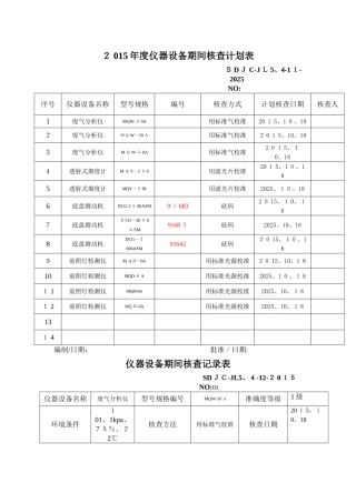 期间核查计划表和记录表
