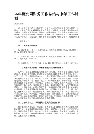 本年度公司财务工作总结与来年工作计划docx