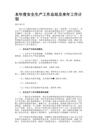 本年度安全生产工作总结及来年工作计划7