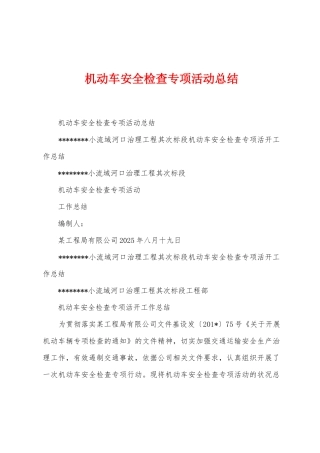 机动车安全检查专项活动总结