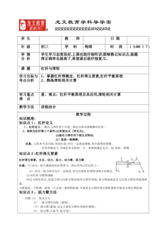 杠杆原理滑轮复习教案