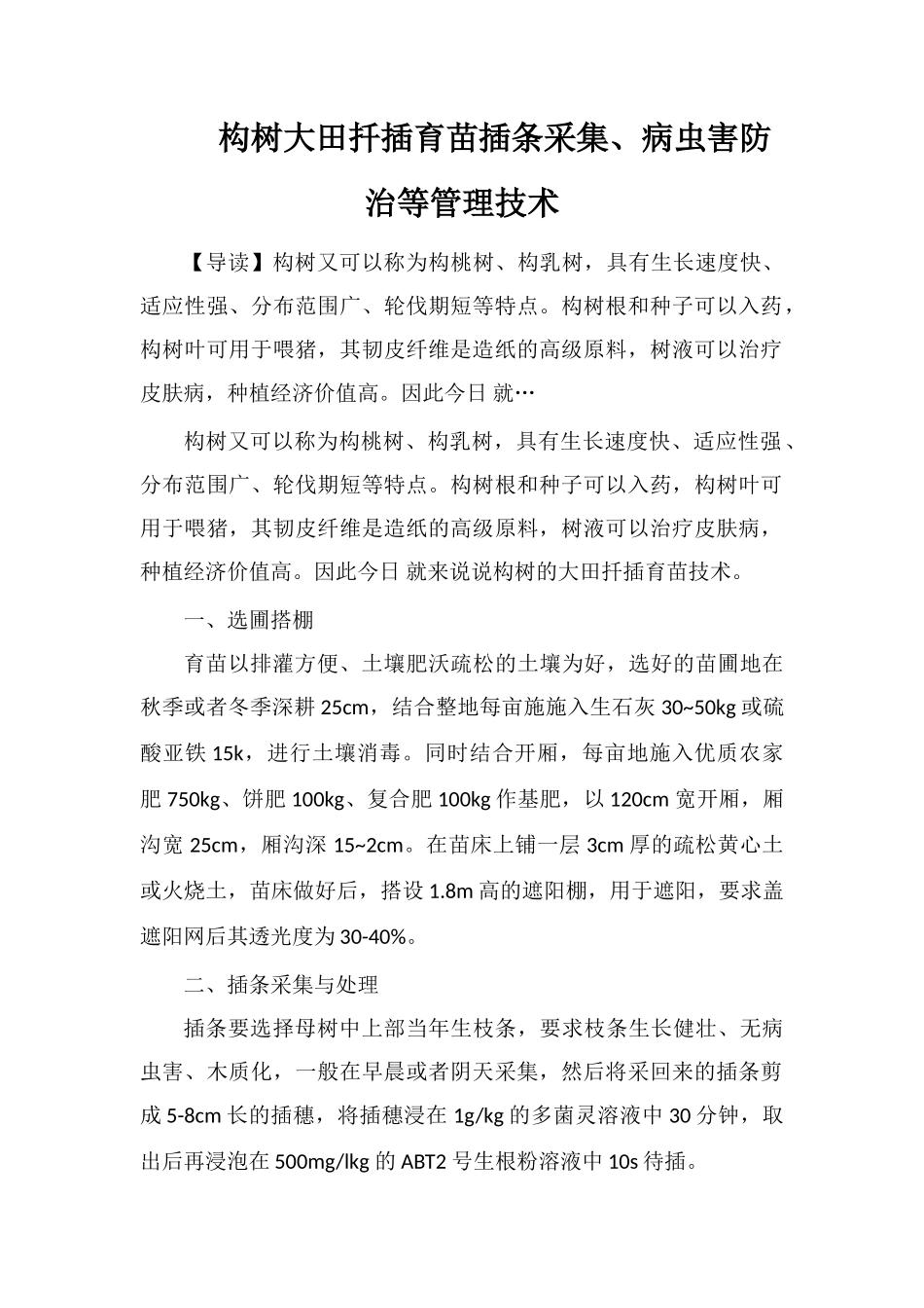 构树大田扦插育苗插条采集、病虫害防治等管理技术_第1页