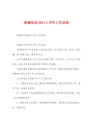 林盛电站2025年上半年工作总结