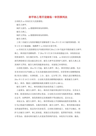 林甲林乙等开设赌场一审刑事判决