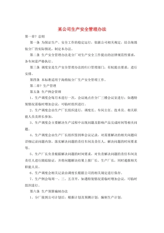 某公司生产安全管理办法