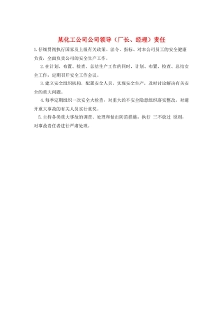 某化工公司公司领导责任