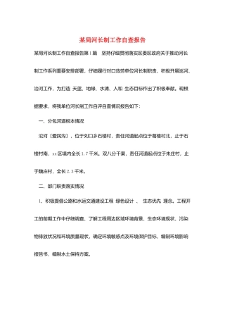 某局河长制工作自查报告