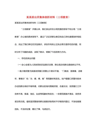 某某派出所集体剖析材料