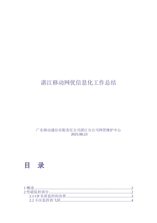 某移动网优信息化工作总结全解