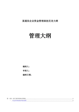 某通信企业资金管理部挂尼龙大纲