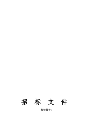 某项目前期策划招标书