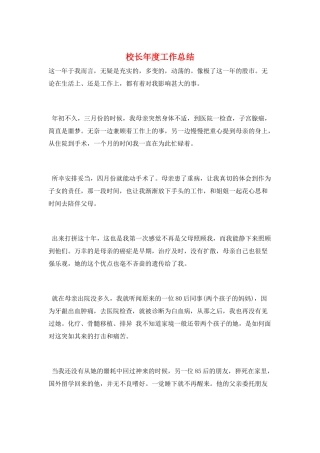 校长年度工作总结