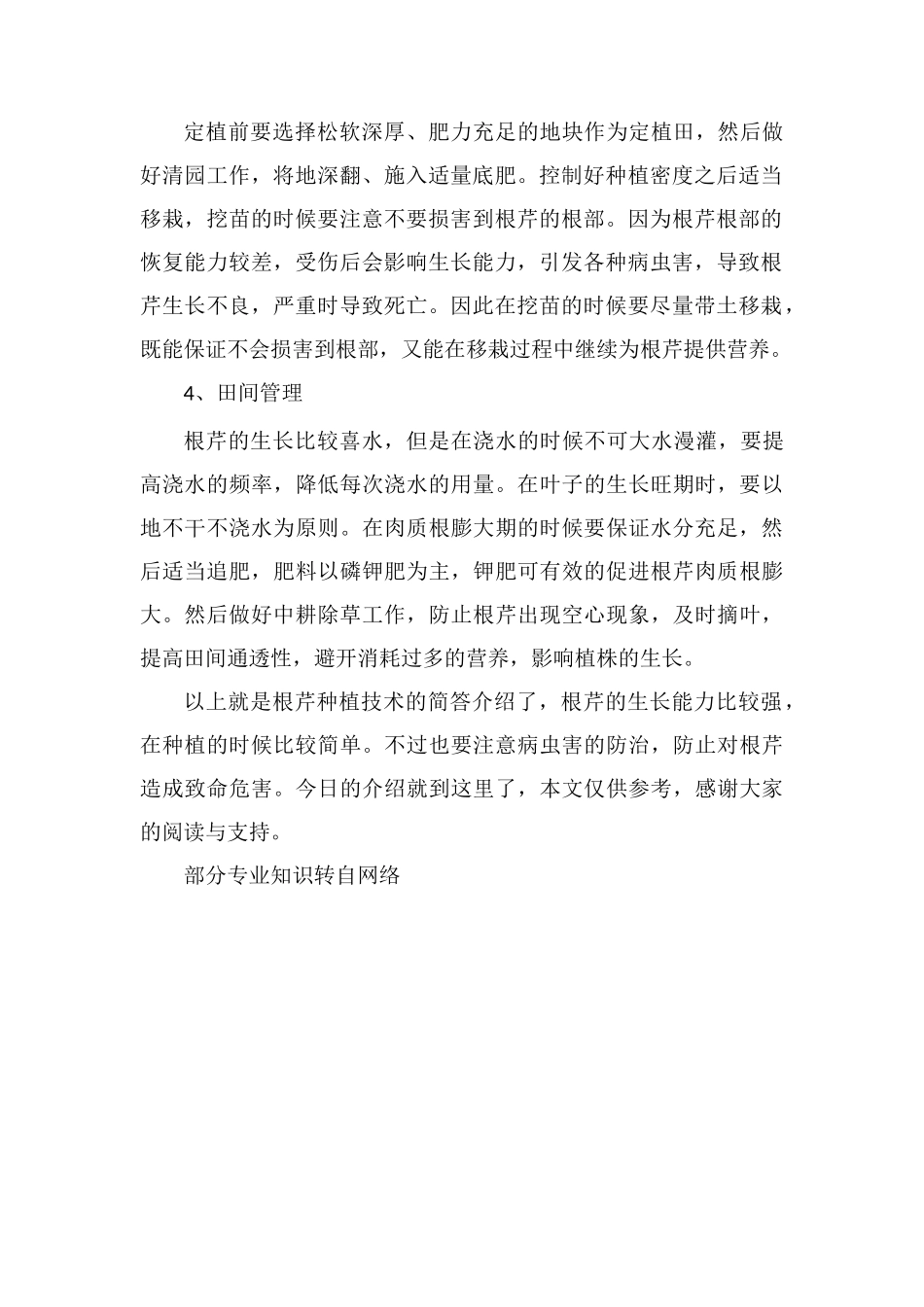 根芹的种植技术_第2页