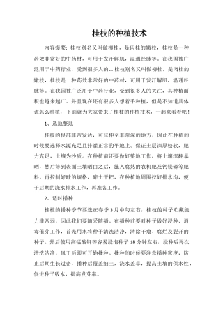 桂枝的种植技术