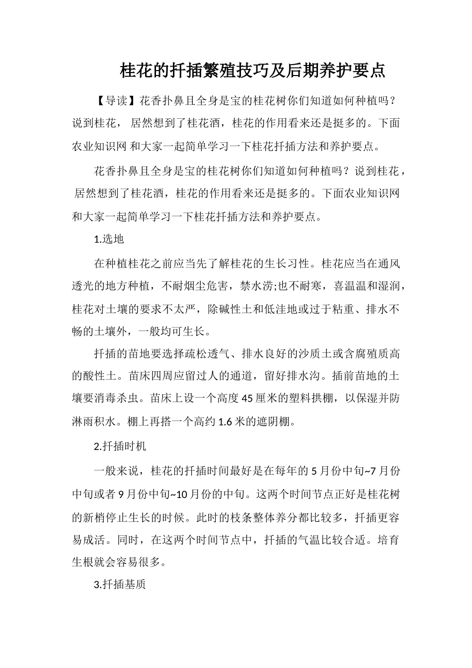 桂花的扦插繁殖技巧及后期养护要点_第1页