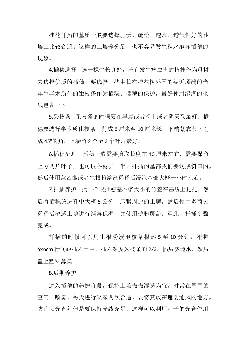 桂花的扦插繁殖技巧及后期养护要点_第2页