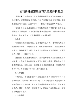 桂花的扦插繁殖技巧及后期养护要点