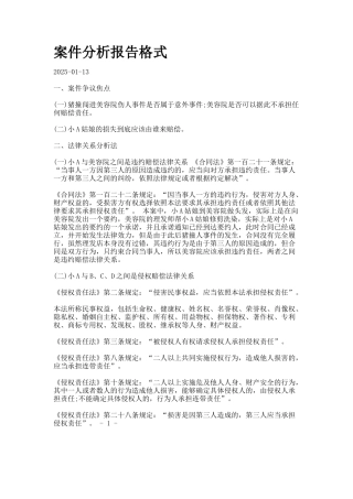 案件分析报告格式-